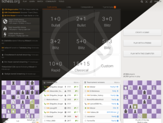 Schach Online zu Zweit Spielen